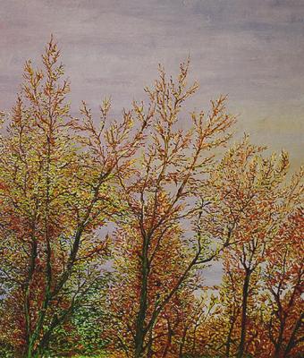 alberi-in-autunno