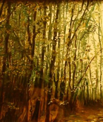 foresta