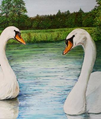 i-cigni-del-lago