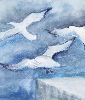 in-volo-nonostante-la-tempest