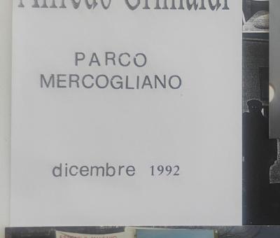 mostra-personale-maestro-alfredo-grimaldi-mercogliano