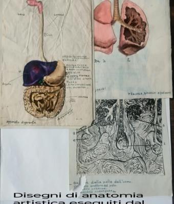 disegni-di-anatomia-artistica