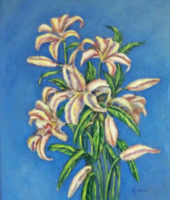 fiori