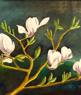 magnolienblten-2