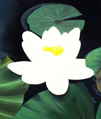 seerose