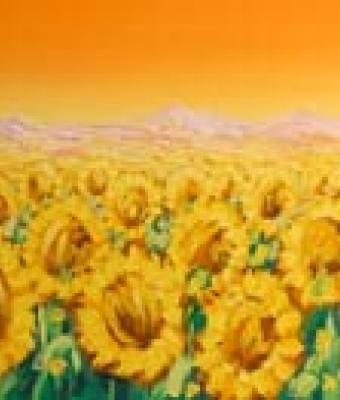 girasoli-in-arancio