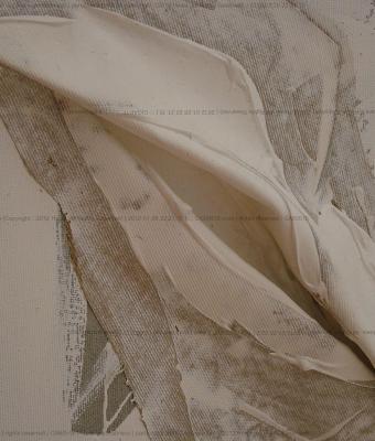 particolare-bianca-copyright