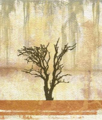 albero