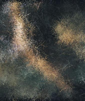 neural