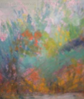 colore-in-movimento