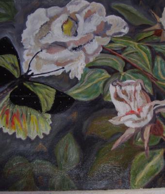 i-fiori-e-la-farfalla