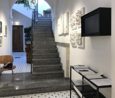 modica-s-suite
