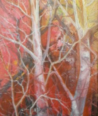 alberi