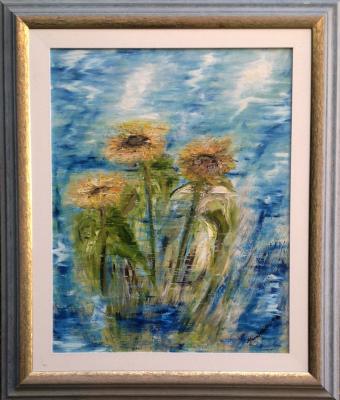 riflessi