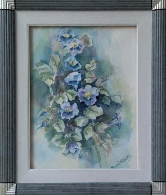viole