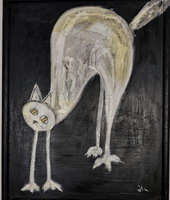 gatto-bianco