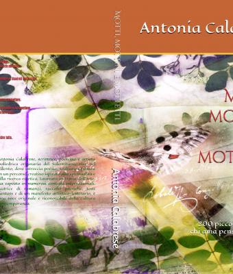 motti-mottini-e-mottetti