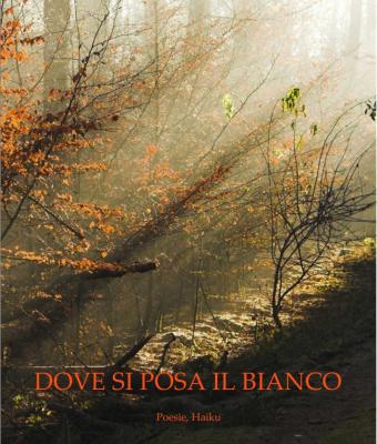 dove-si-posa-il-bianco