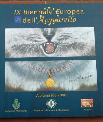 ix-biennale-europea-dell-acquerello