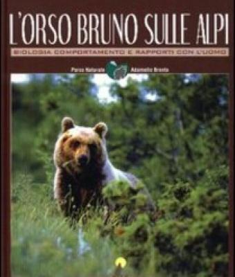 l-orso-bruno-sulle-alpi