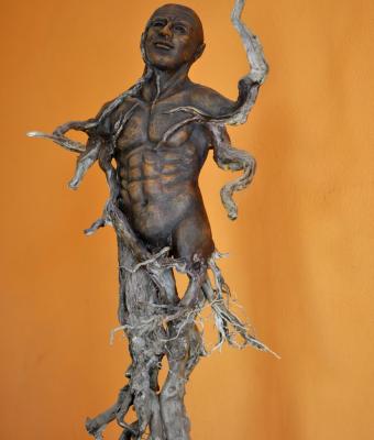 accademia-santa-sara-raccolta-d-autore