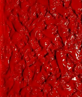 critica-pittorica-colors-di-romina-sangiovanni