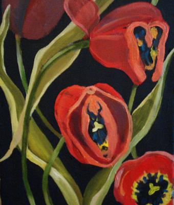 tulipani
