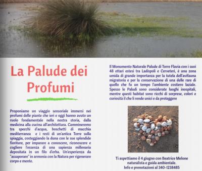 la-palude-dei-profumi