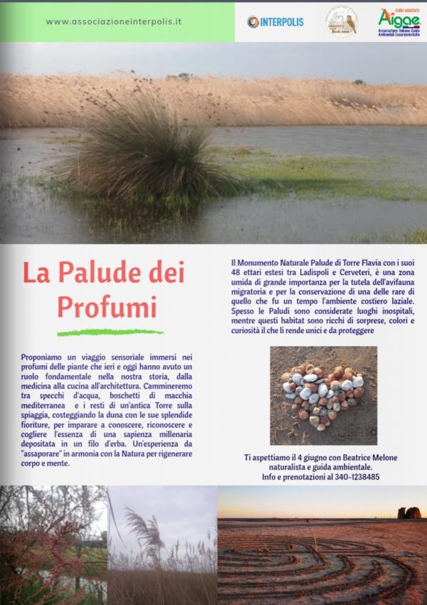 la-palude-dei-profumi la-palude-dei-profumi
