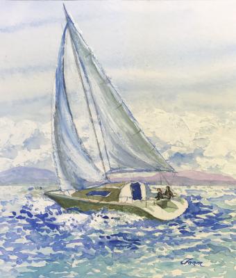 vela