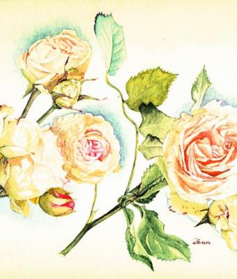 rose-antiche1
