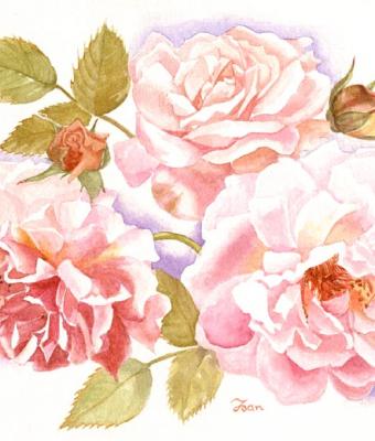 3rose