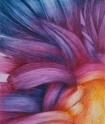 particolare-girasole