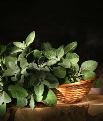 cesta-con-salvia
