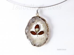 fiore-bianco-con-foglie-nella