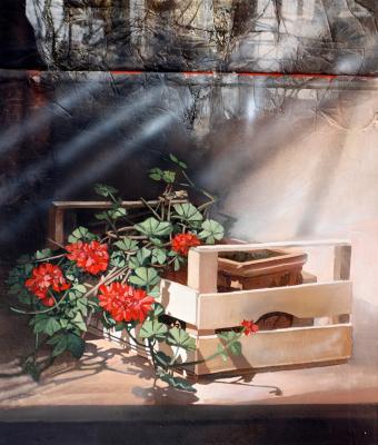in-un-angolo-della-serra