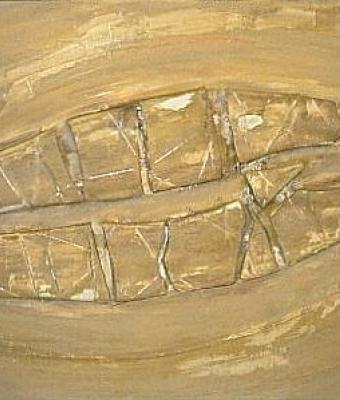 silenzio-fossile