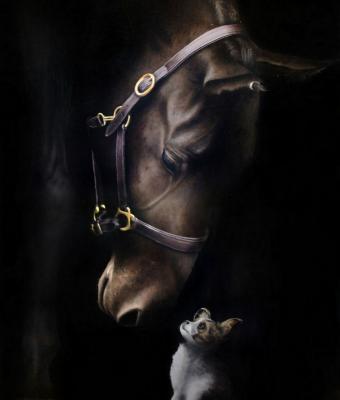 animal-stories-3