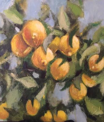 limoni