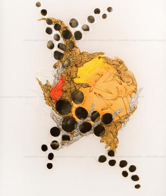 oltre-l-apparenza-fuga-il-m
