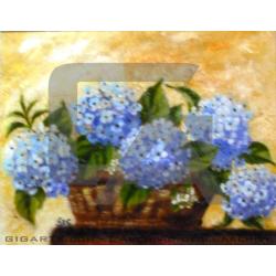 ortensie-blue