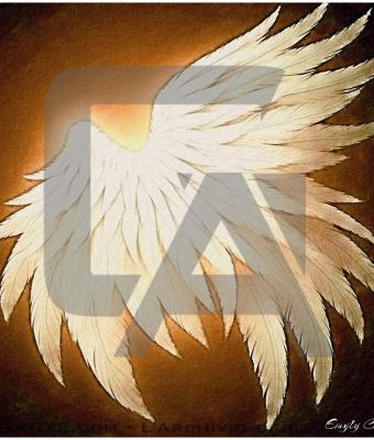 l-ala