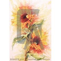 girasoli