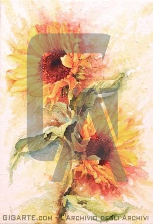 girasoli