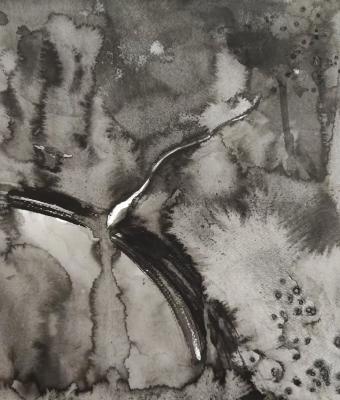 serie-il-concepimento-come