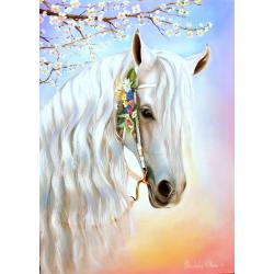 animali