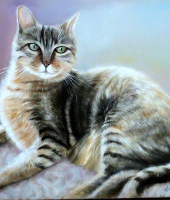 ritratto-di-maone