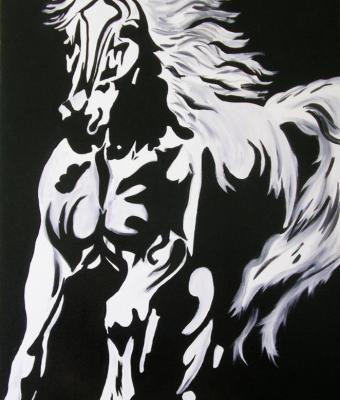 cavallo