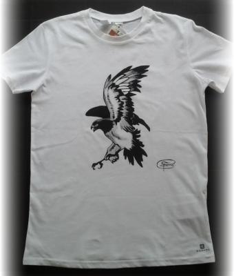 the-hawk