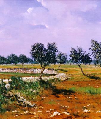campo-d-ulivi